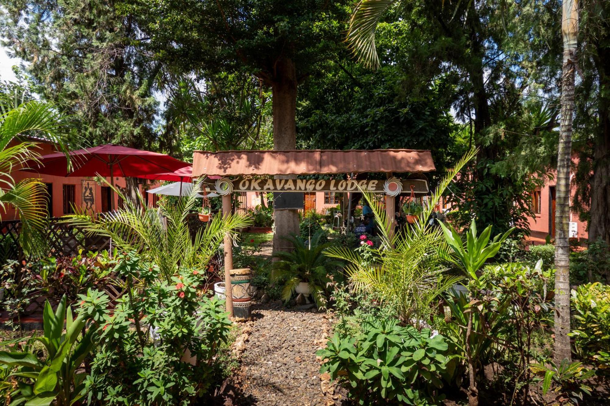 Okavango Lodge リビングストン エクステリア 写真