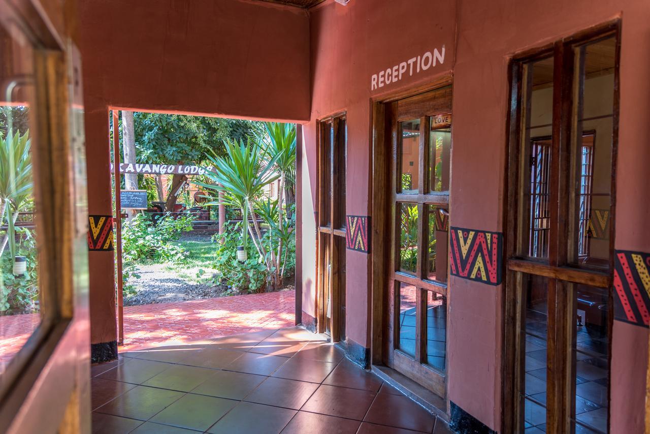 Okavango Lodge リビングストン エクステリア 写真